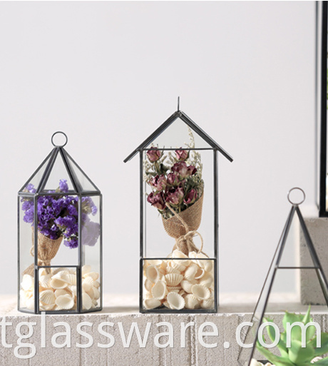 Clear Glass terrarium
